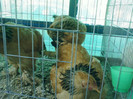 SPM_A0303 - Copy