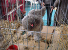 DSC05549