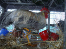 DSC05560