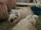 DSC05630