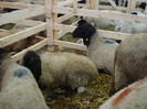 DSC05640