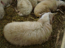DSC05641