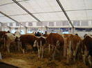 DSC05658