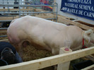 DSC05661