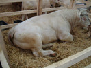 DSC05672