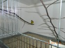 poze dec 2011-ian 2012 256