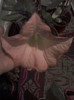 1 nov 2012-flori 014