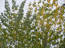 2012, November 01