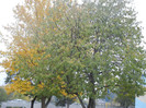 2012, November 01