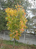 2012, November 02