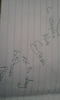 alina autograf pt mn