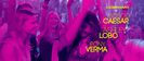 vlcsnap-00216