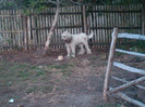 IMG00030-20121003-1749