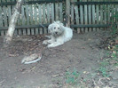 IMG00040-20121004-1334