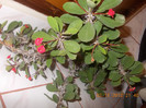DSCN4683_204
