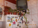 DSCN4684_205