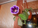 DSCN4688_209