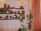DSCN4689_210