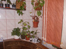 DSCN4690_211