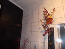 DSCN4701_222