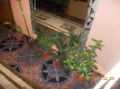 DSCN4705_226
