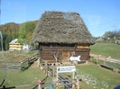 DSCN1793