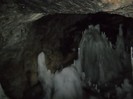 DSCN1829