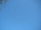 P1440927