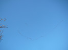 P1440928