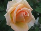 IMG_1903