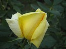 IMG_1912