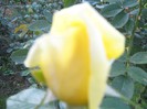 IMG_1913