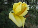 IMG_1947