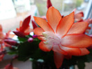 DSC00512