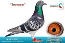 NL12-1230317
