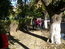P1450232