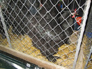 Picture 028