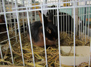 Picture 040