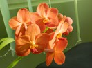 DSCN1203