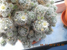 DSCN2326