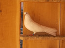 DSCN0830