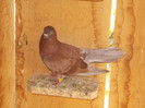 DSCN0832