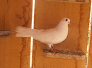 DSCN0838