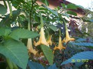 Copy of 100_8879