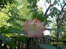 Copy of 100_7753