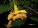 Copy of Copy of 100_8710