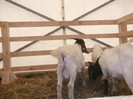 DSCF0765