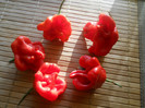 DSCN3549