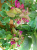 DSCN3552