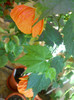DSCN3553
